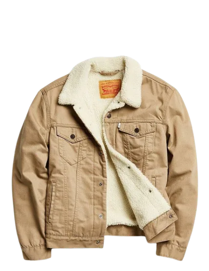Trucker Jacket Back View V-Seam